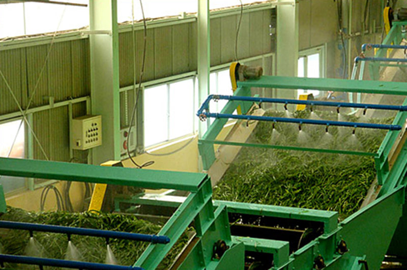 Manufacturing Process – BARLEYGREEN